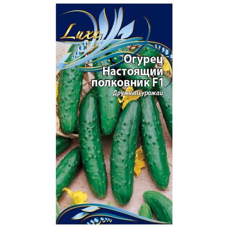 семена огурец Настоящий полковник F1 0,25г мариам ибрагимова полковник яковлев ученый на старте т 8 15тт ибрагимова