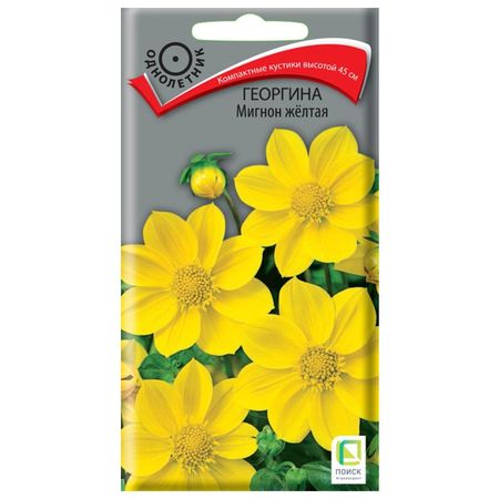 семена Георгина Мигнон желтая ПОИСК 0,2г садека джонсон желтая жена