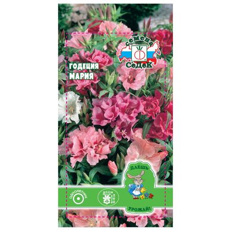 семена Годеция Мария крупноцветковая СЕДЕК 0,1г мария владимировна воронова сестра милосердия