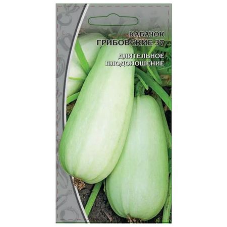 семена кабачок Грибовские 37 1г