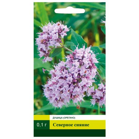 семена Душица (орегано) Северное сияние СЕВЕРНЫЙ ОГОРОД 0,1г филип пулман темные начала книга 1 северное сияние