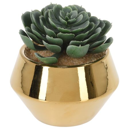 растение искусственное в горшке 13см в асс-те катер заводной 18 5 13см в ассортименте с21 7001