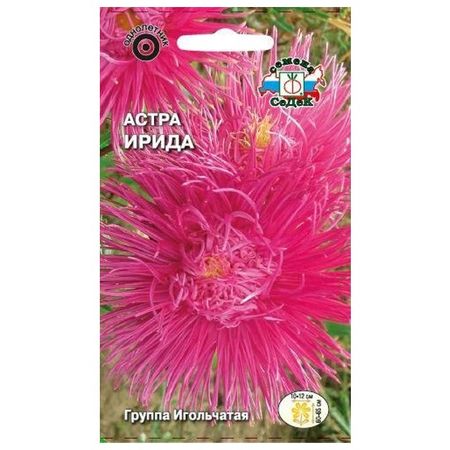 семена Астра Ирида игольчатая насыщенно-розовая СЕДЕК