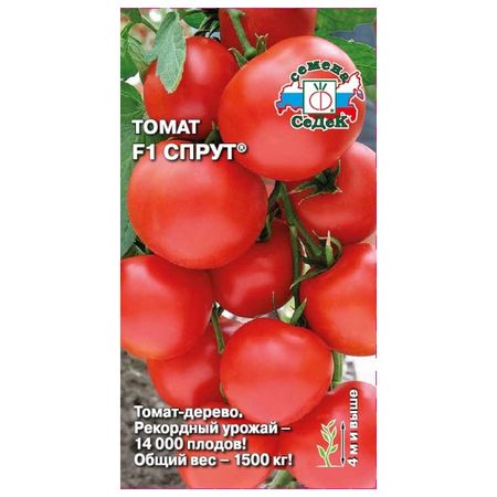 семена томат Спрут СЕДЕК F1 0,03г