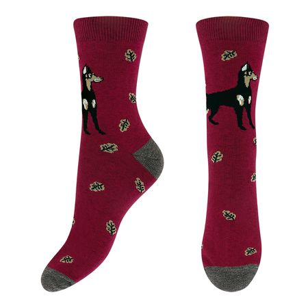 Носки мужские MONCHINI доберман 39-42 бордовый