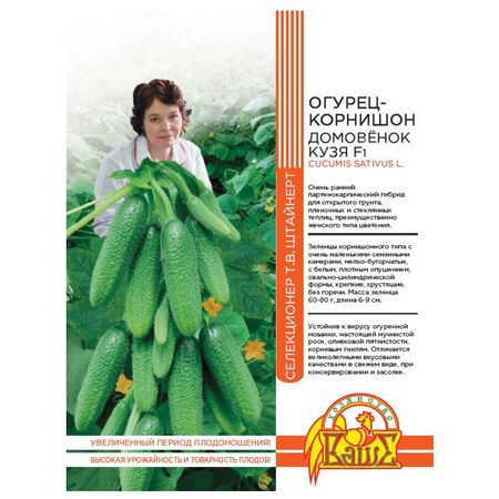 семена огурец Домовёнок Кузя 10шт селекция Штайнерт