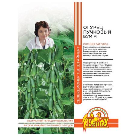 семена огурец Бум 5шт селекция Штайнерт