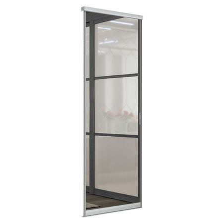 дверь-купе Экспресс 2 2052х596х40мм для шкафа 2200х600мм зеркало