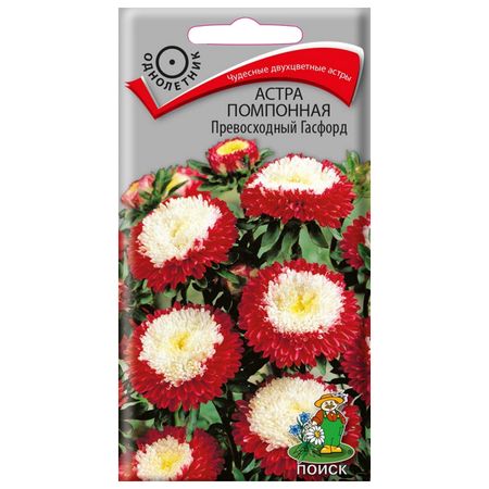 семена Астра помпонная Превосходный Гасфорд ПОИСК 0,3г