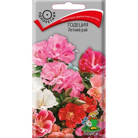 семена Годеция Летний рай ПОИСК 0,25г летний спорт
