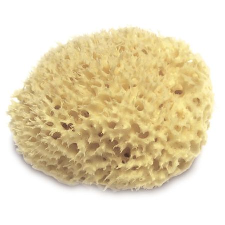губка морская для декоративных покрытий BOLDRINI натуральная 16см, арт.150-556