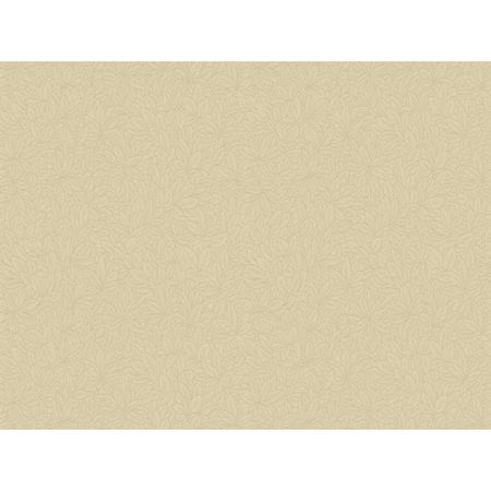 обои бумажные дуплекс 10,05х0,53м, арт.С6 д1021-02 сильвия мисслин захватывающее приключение в джунглях