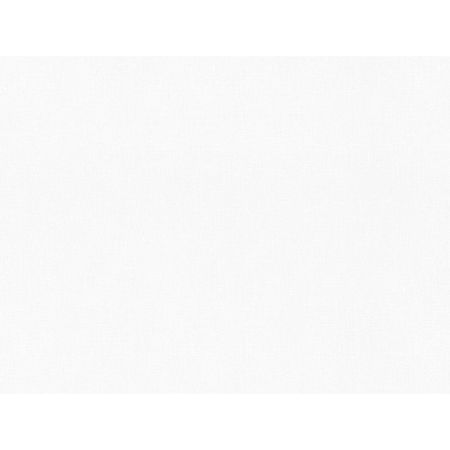 обои VILIA виниловые на флизелиновой основе 10,05х1,06м, арт.Ф10-10 1825-21