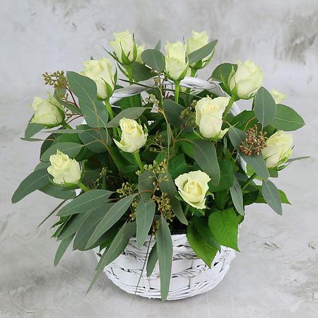 Букет живых цветов БУКЕТ МАРКЕТ ДАРИТЕ С УДОВОЛЬСТВИЕМ 15 белых роз 40 см. с листьями эвкалипта в корзине