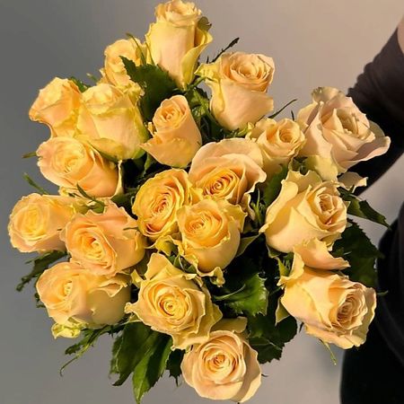Букет живых цветов ЦВЕТЫ ДЛЯ ВАС Букет из 19 кремовых роз (Кения)
