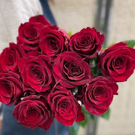 Букет живых цветов ЦВЕТЫ ДЛЯ ВАС Роза красная 11 шт