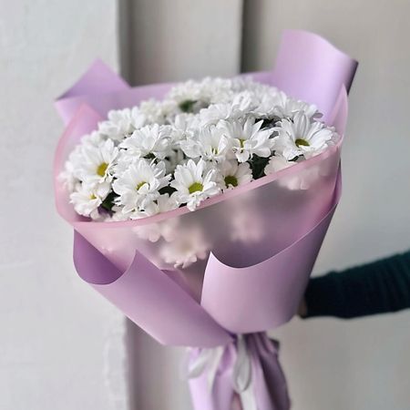 Букет живых цветов ЦВЕТОЧНАЯ МАСТЕРСКАЯ VETKA Монобукет из белой кустовой хризантемы