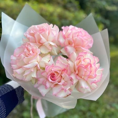 Букет живых цветов КОЛИБРИ ЦВЕТОЧНЫЙ САЛОН Французская Роза монобукет