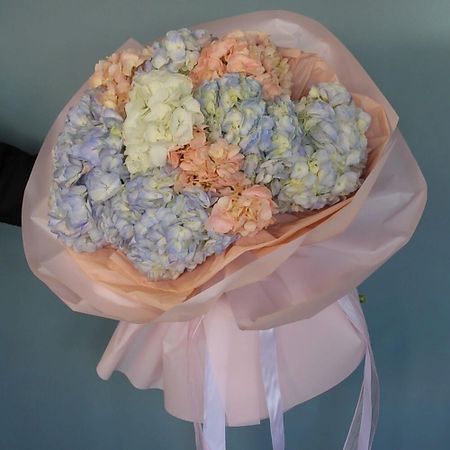 Букет живых цветов КОЛИБРИ ЦВЕТОЧНЫЙ САЛОН Королева- гортензия