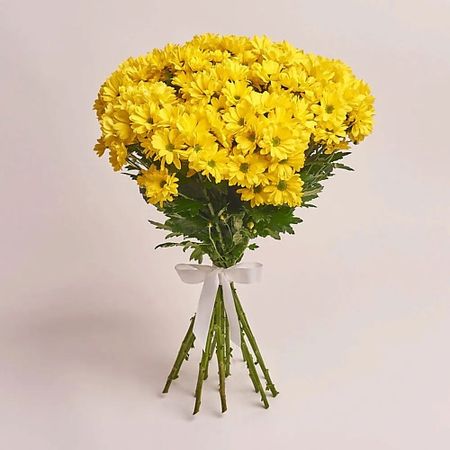 Букет живых цветов AZALIANOW ЦВЕТЫ. ПОДАРКИ. ДЕКОР Букет из 15 кустовых желтых хризантем оформленных под ленту