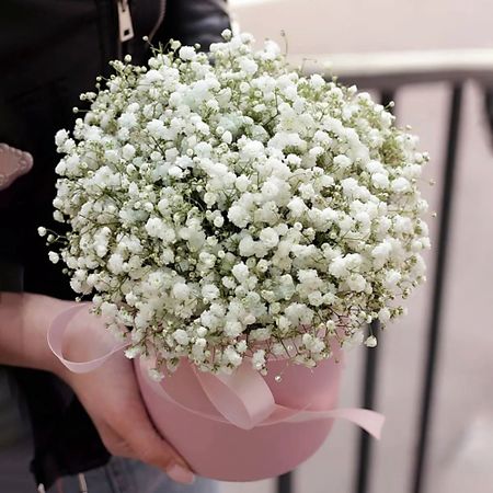 Букет живых цветов AZALIANOW ЦВЕТЫ. ПОДАРКИ. ДЕКОР Букет из белых гипсофил в розовой коробке