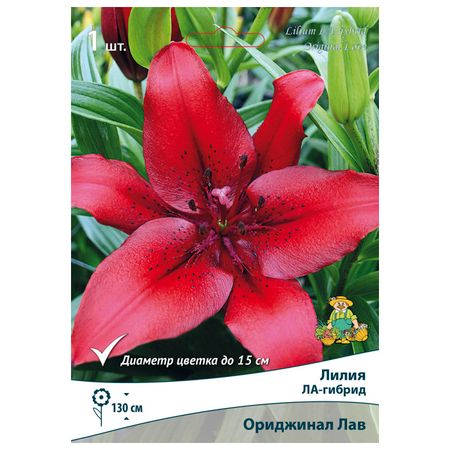 луковицы растений  лилия ЛА-гибрид Ориджинал Лав в капере 1 шт. 14/16 наталия владимировна скоробогатько райская лилия рассказы о пресвятой богородице для семейного чтения