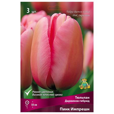 луковицы растений  тюльпан Дарвинов гибрид Пинк Импрешн 3 шт. 10/11