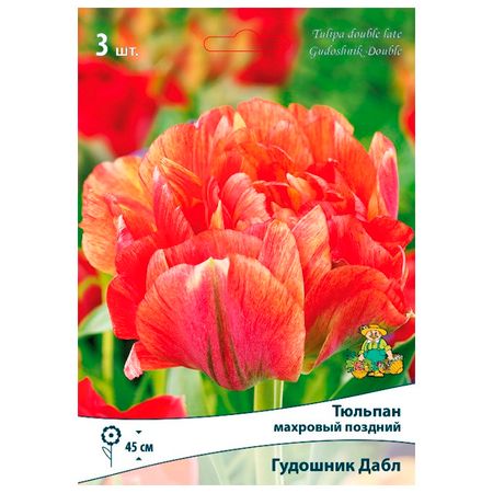 луковицы растений  тюльпан махровый поздний Гудошник Дабл 3 шт. 10/11