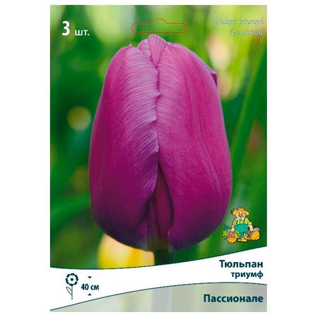 луковицы растений  тюльпан триумф Пассионале 3 шт. 10/11