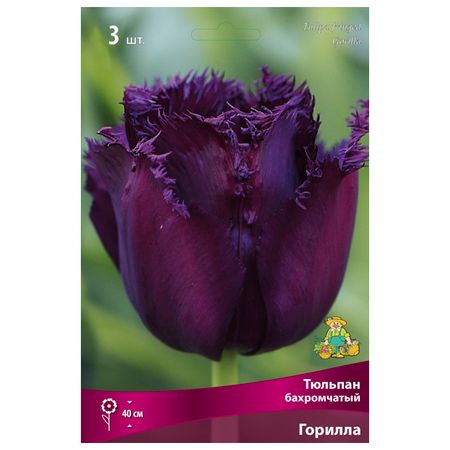 луковицы растений тюльпан бахромчатый Горилла 3 шт. 11/12 алексей герасимов джазендапус горилла фрэнсис