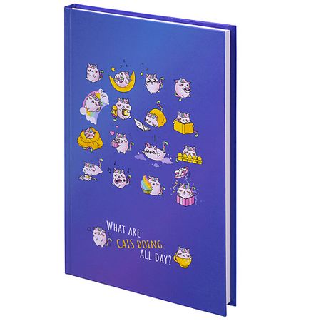 Блокнот BRAUBERG Блокнот А5, твёрдый, клетка KIDS, Радужные котики