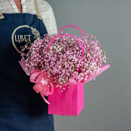 Букет живых цветов ЦВЕТНИК ЦВЕТЫ И ПОДАРКИ Розовая гипсофила в сумочке