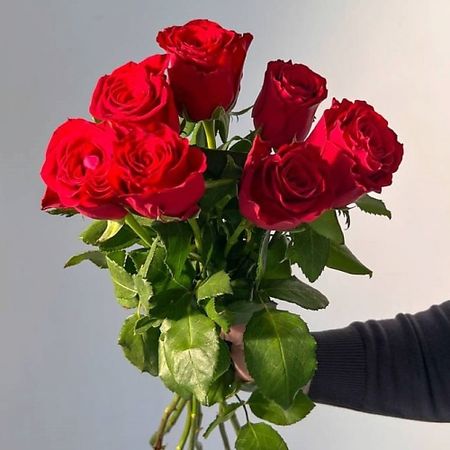 Букет живых цветов ЦВЕТЫ ДЛЯ ВАС Букет из 7 красных роз (Кения)