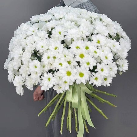 Букет живых цветов 4 СЕЗОНА Монобукет из 25 белых кустовых хризантем