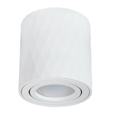 светильник накладной ARTE LAMP Fang GU10 35Вт IP20 металл белый