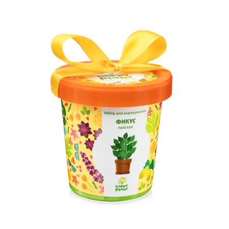 набор для выращивания Фикус райский эрнест миллер хемингуэй райский сад