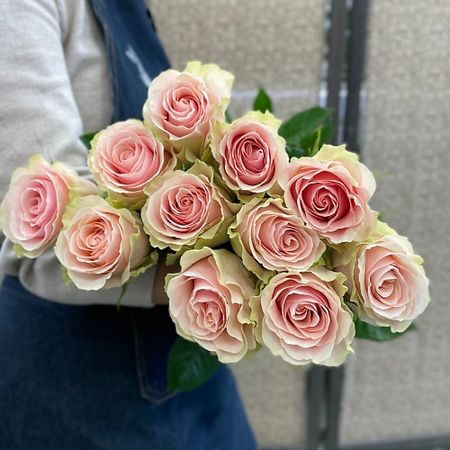 Букет живых цветов ЦВЕТЫ ДЛЯ ВАС Роза кремово розовая 11 шт