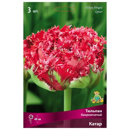 луковицы растений тюльпан бахромчатый Катар 3 шт. 11/12