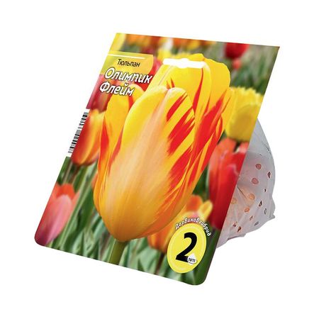 луковицы растений тюльпан Олимпик Флейм 10/11 2шт
