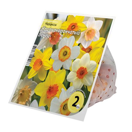 луковицы растений нарциссы смесь крупнокорончатых Крупнокорончатый венец 12/14 2шт дарья аркадьевна донцова венец безбрачия белого кролика