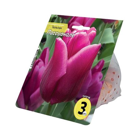 луковицы растений тюльпан Пассионале 10/11 3шт
