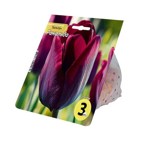 луковицы растений тюльпан Рональдо 10/11 3шт ольга дмитриевна ушакова орфографический разбор слова