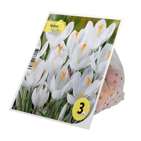 луковицы растений крокус Уайт 7/8 3шт