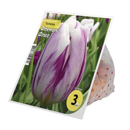 луковицы растений тюльпан Флеминг Флег 10/11 3шт кэрол флеминг говорите ясно и убедительно экопокет