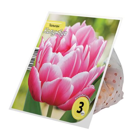 луковицы растений тюльпан Колумбус 10/11 3шт
