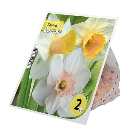 луковицы растений нарцисс Саломе 10/12 2шт