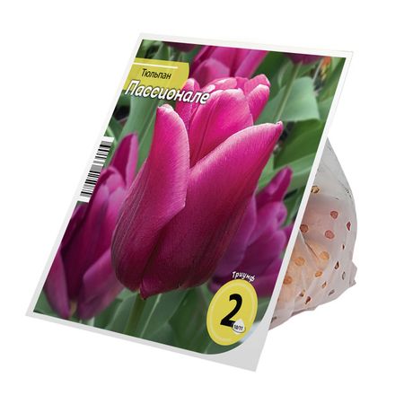 луковицы растений тюльпан Пассионале 10/11 2шт