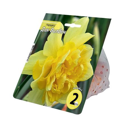 луковицы растений нарцисс Дик Вилден 10/12 2шт