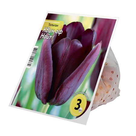 луковицы растений тюльпан Квин оф Найт 10/11 3шт