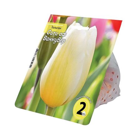 луковицы растений тюльпан Сити оф Ванкувер 10/11 2шт софи анри любовь в арден сити подарочное оформление